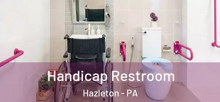 Handicap Restroom Hazleton - PA